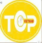 Logo CÔNG TY TNHH XUẤT NHẬP KHẨU TOP VIỆT NAM