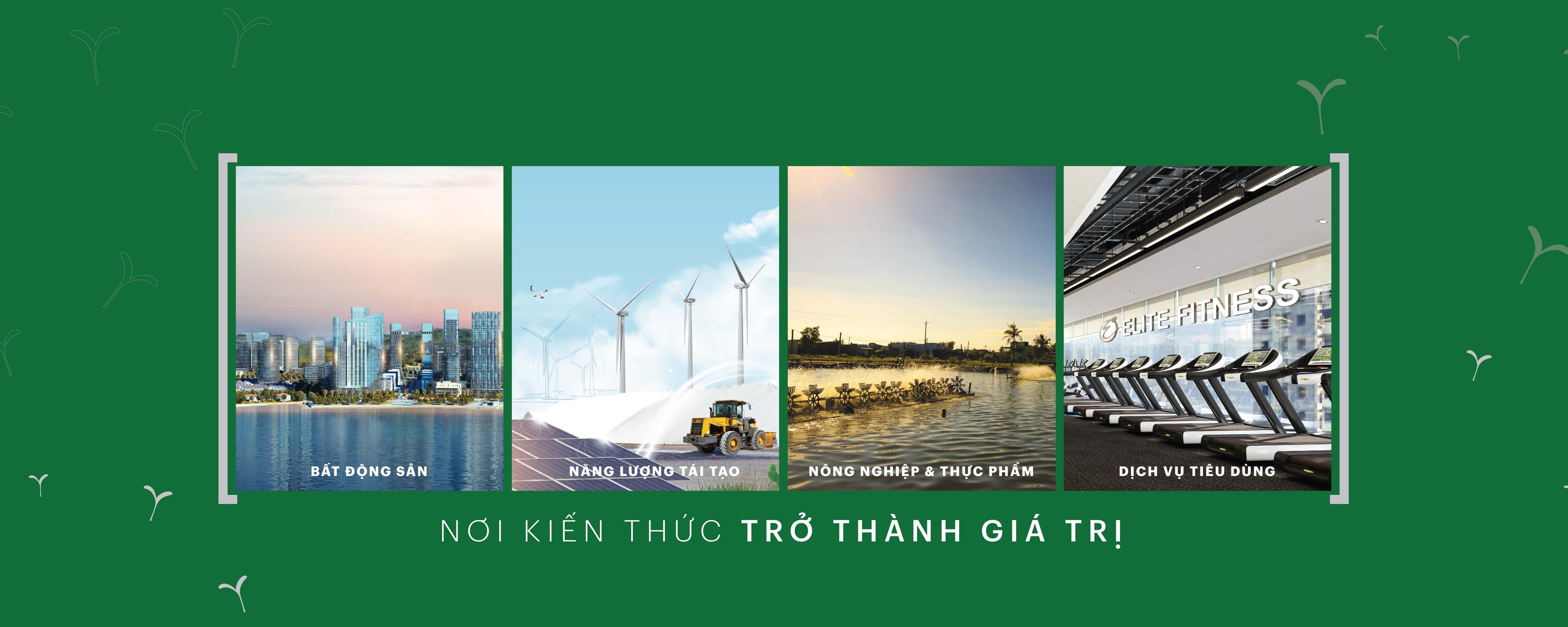 Ảnh bìa CÔNG TY CỔ PHẦN TẬP ĐOÀN BIM