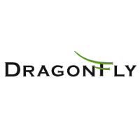 Logo CÔNG TY TNHH DRAGONFLY SELECT BRANDS VIETNAM