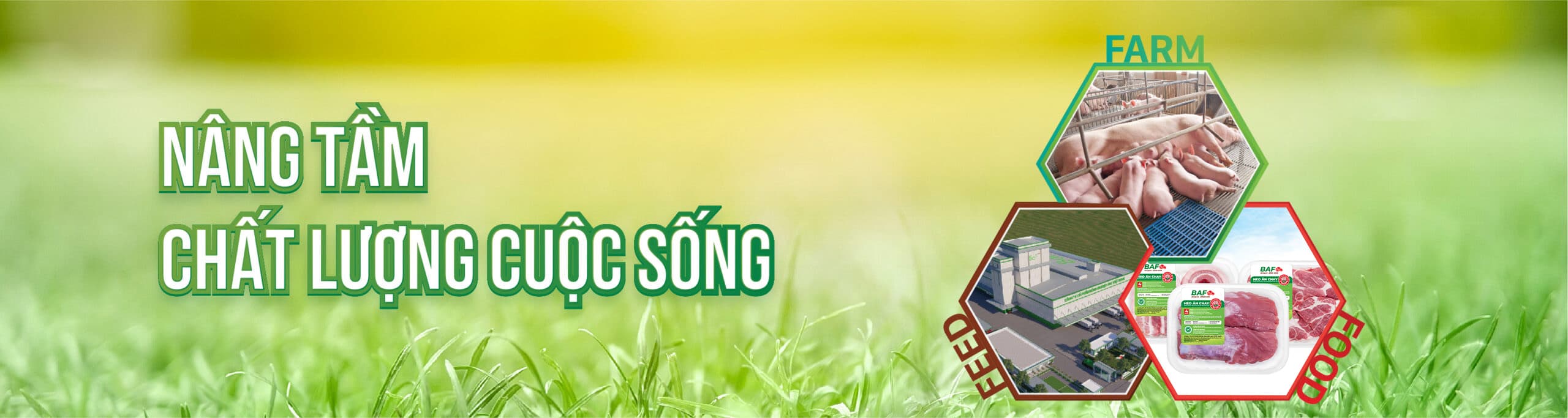 Ảnh bìa CÔNG TY CỔ PHẦN NÔNG NGHIỆP BAF VIỆT NAM